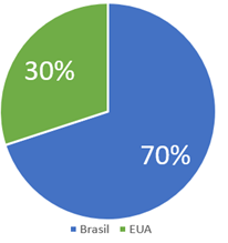 gráfico mostrando uma carteira de investimentos exposta a investimentos no Brasil e no exterior 